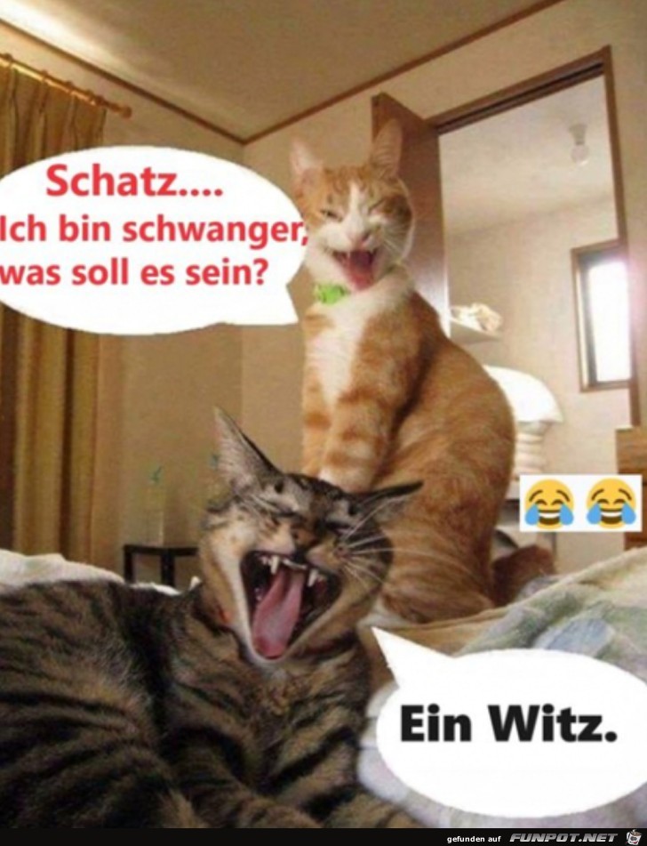 Ich bin schwanger