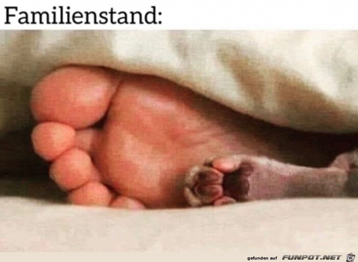 Familienstand