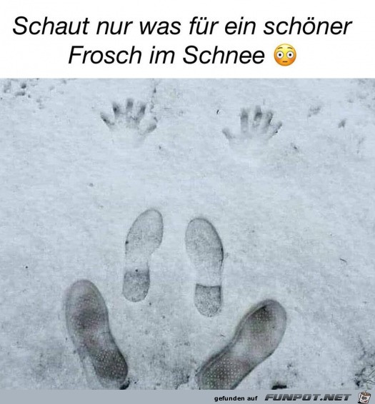 Frosch im Schnee