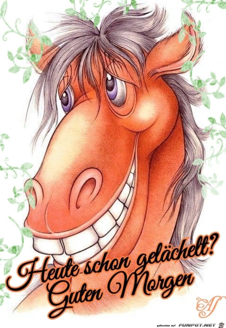 Heute schon gelchelt?