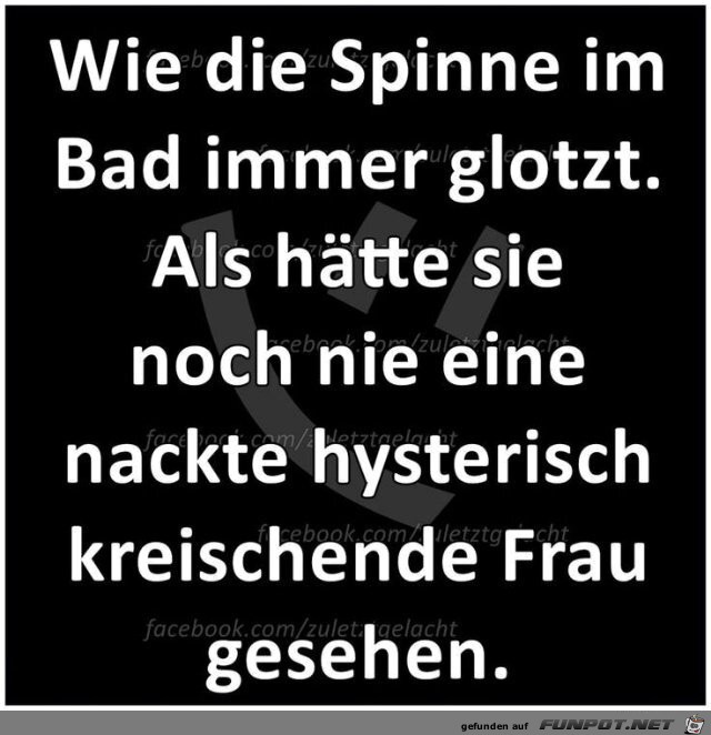 Die Spinne