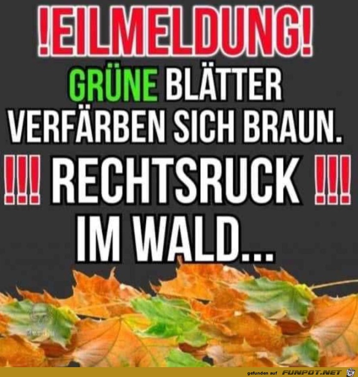 Eilmeldung