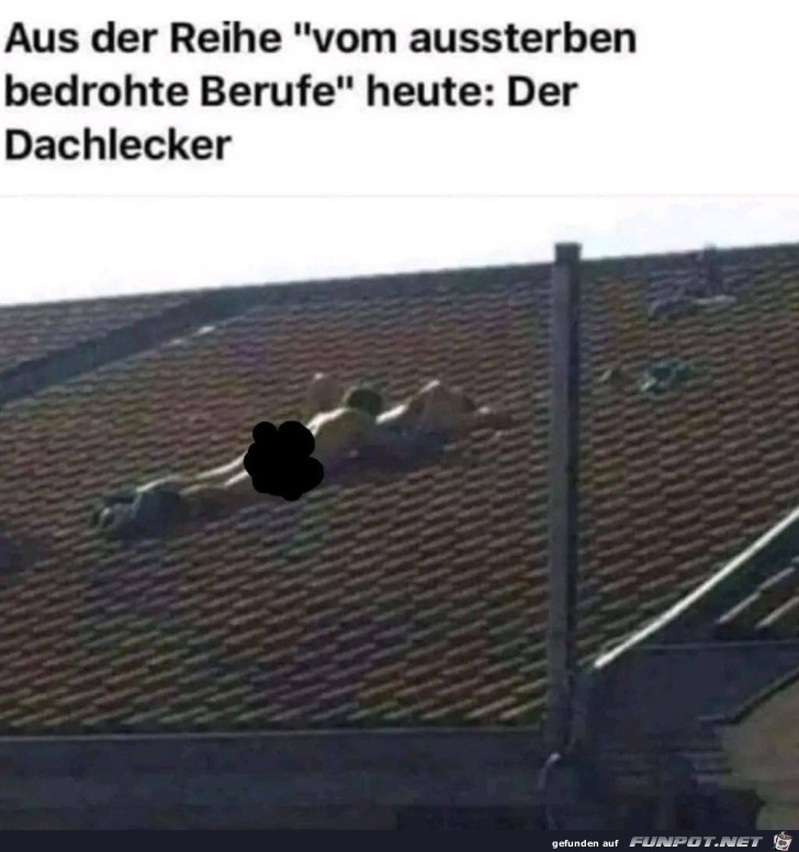 Bedrohter Beruf