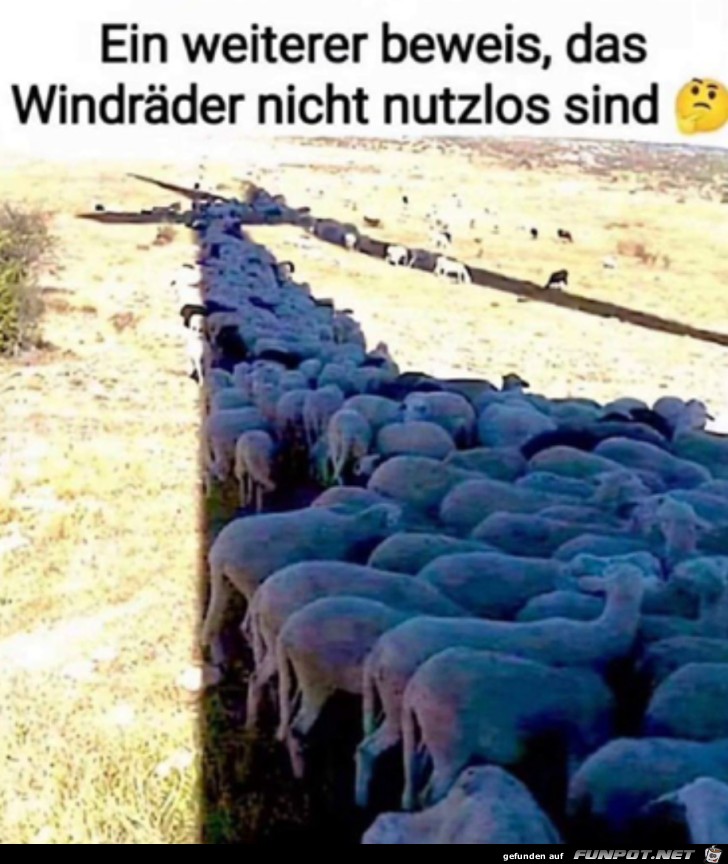 Windrder sind nicht nutzlos