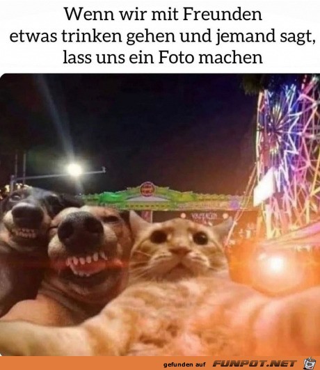 Ein Foto machen