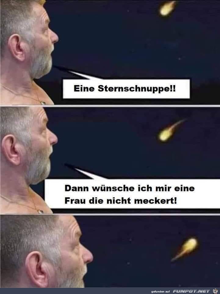 sternschnuppe sternschnuppe