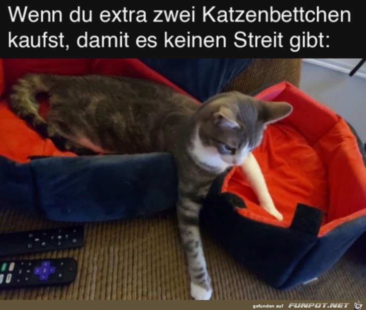 Hat nicht geklappt