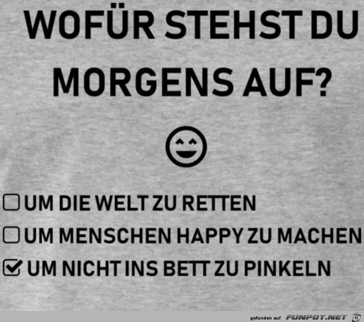 Aufstehen Aufstehen
