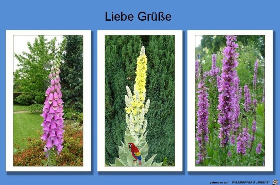 Liebe Gre