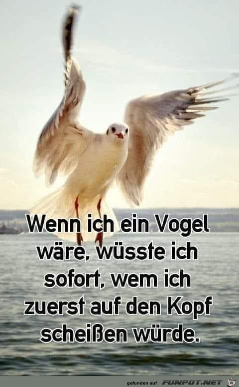 Wenn ich ein Vogel wre