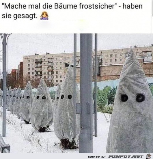 Bume frostsicher gemacht