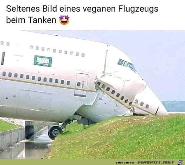 Veganes Flugzeug