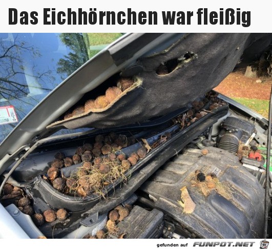 witzige Bilder aus verschiedenen Blogs