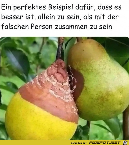 Falsche Person