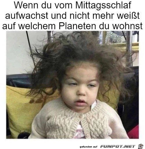 witzige Bilder aus verschiedenen Blogs