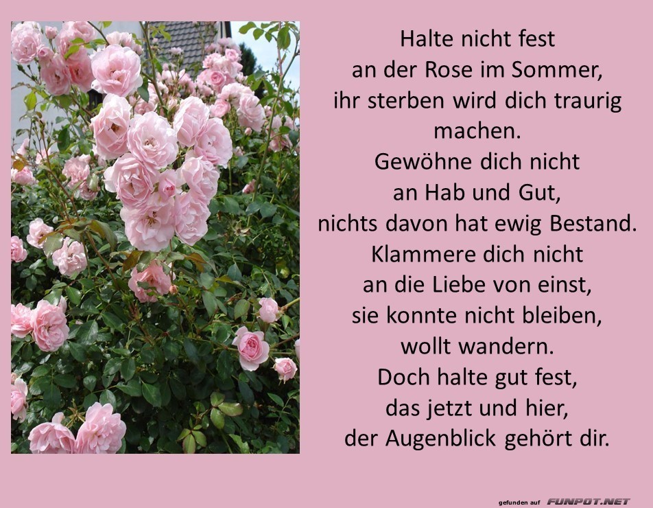 Halte nicht fest Halte nicht fest