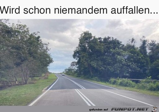 Merkt schon keiner