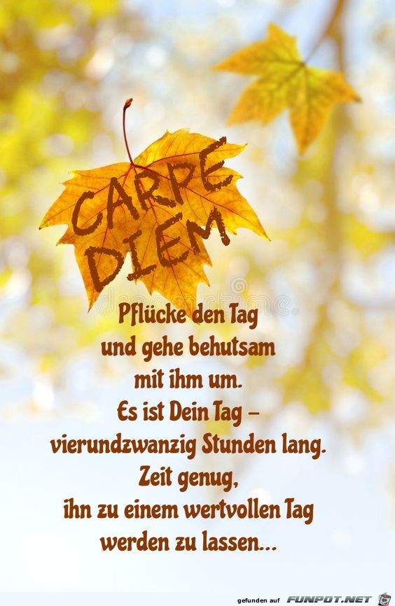 10 schne Sprche und Lebensweisheiten aus...
