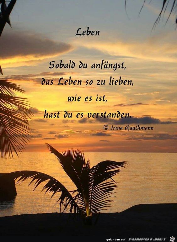 Leben sobald du anfngst