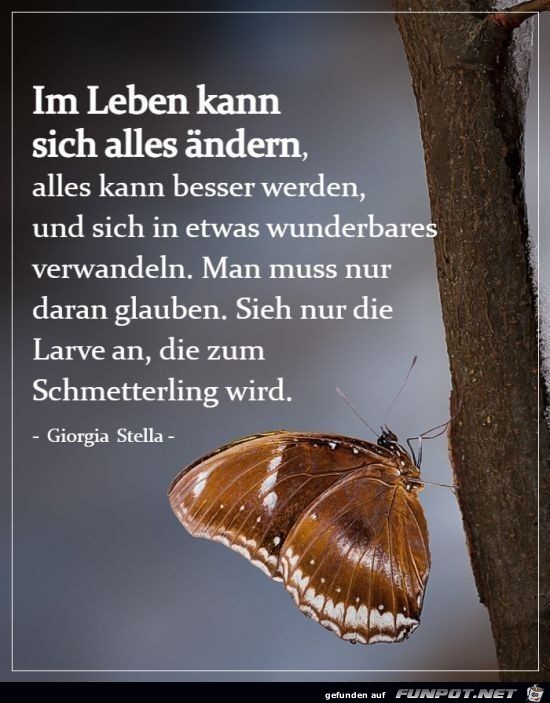 Im Leben kann sich alles ndern