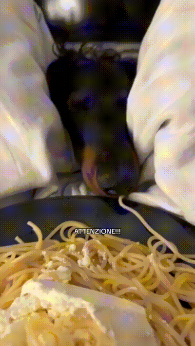 Spaghetti-Dieb