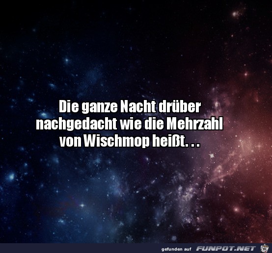 Mehrzahl von Wischmop