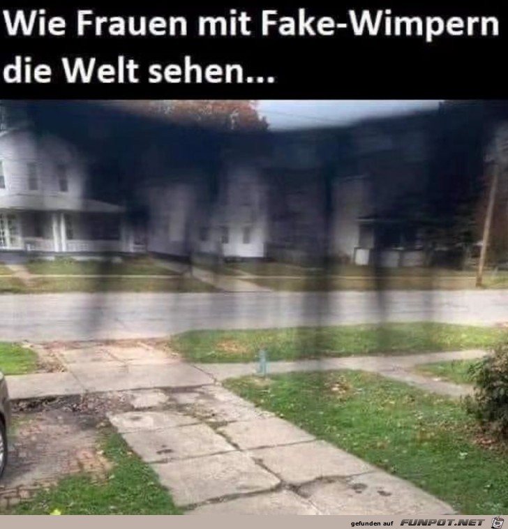 Die Welt mit Fake-Wimpern