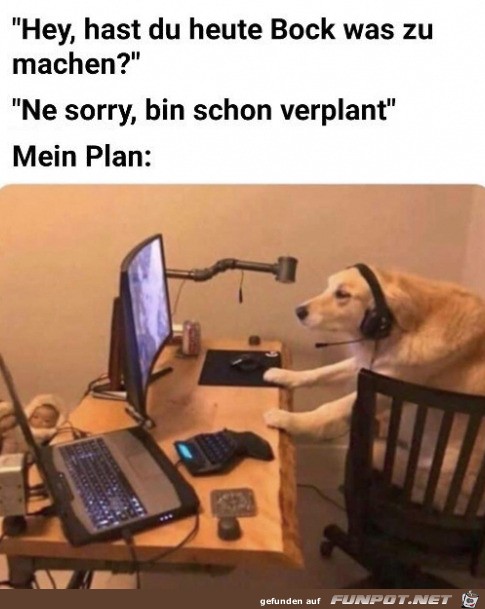 Toller Plan