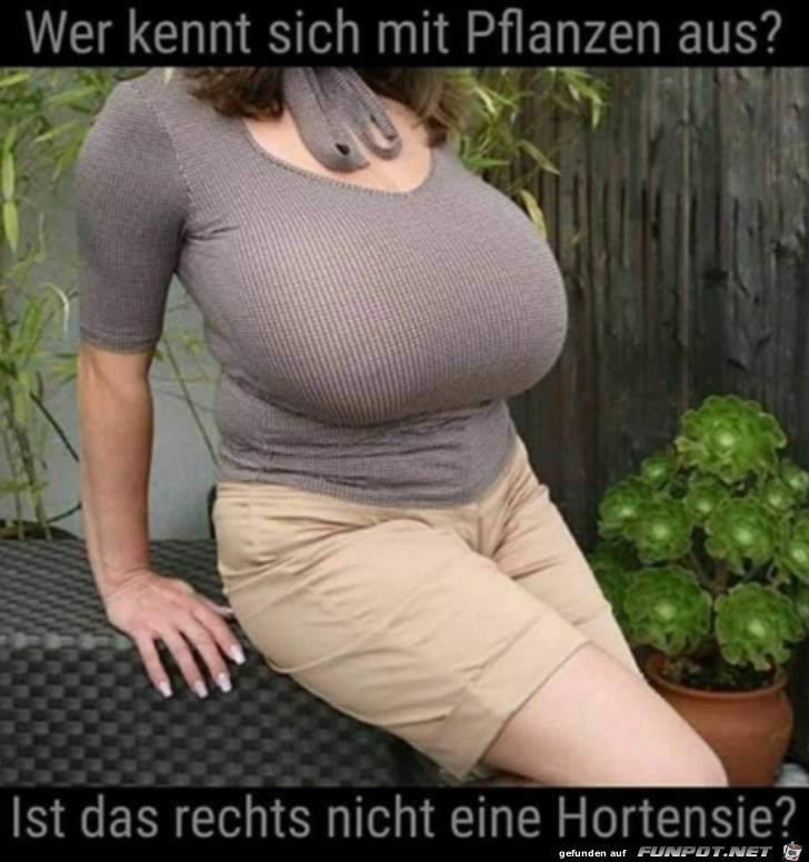 Wen interessiert die Pflanze