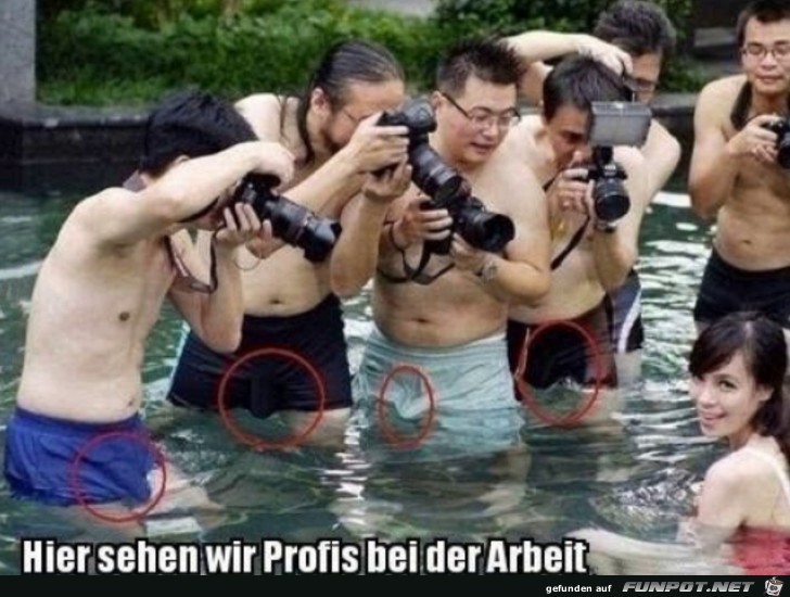 Die Profis