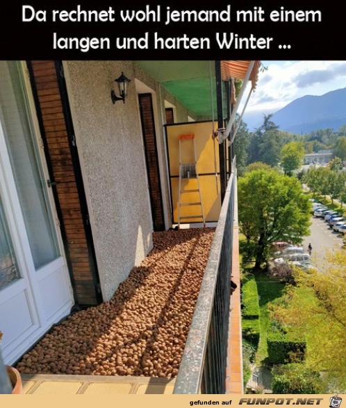 Harter Winter