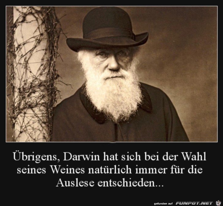 Darwin