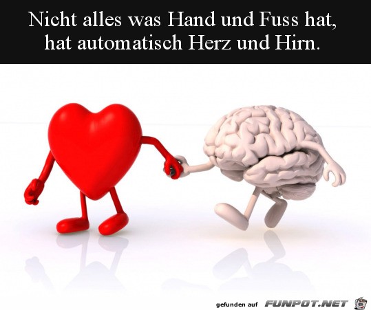 Herz und Hirn