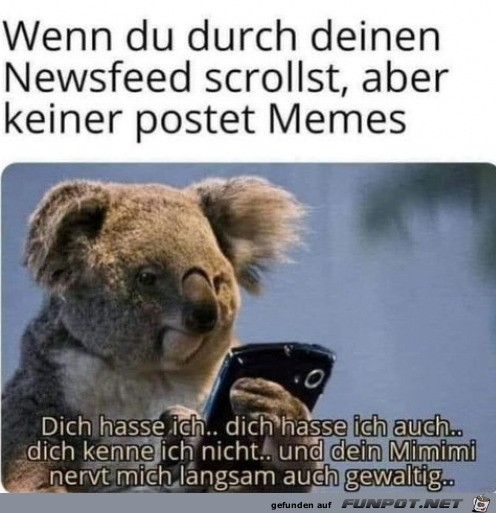 Keiner postet Memes