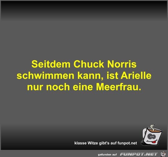 Seitdem Chuck Norris schwimmen kann