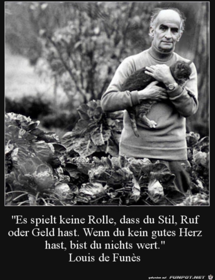 Kein gutes Herz Kein gutes Herz