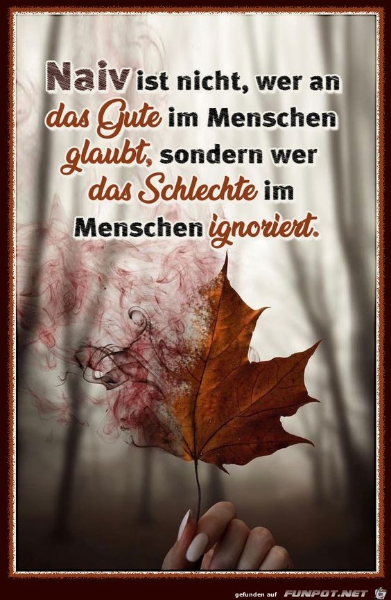 10 schne Sprche und Lebensweisheiten aus...