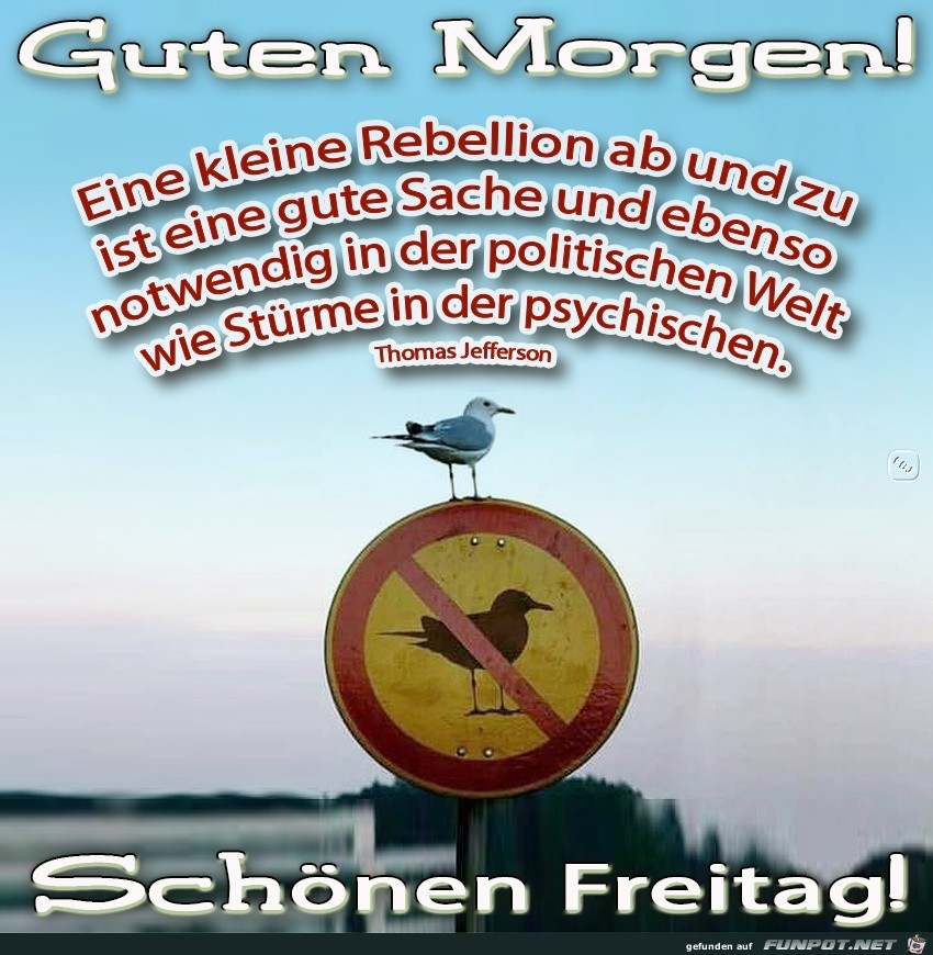 Freitag