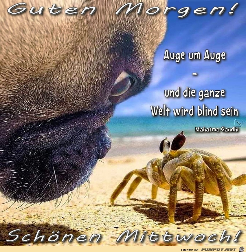 Mittwoch