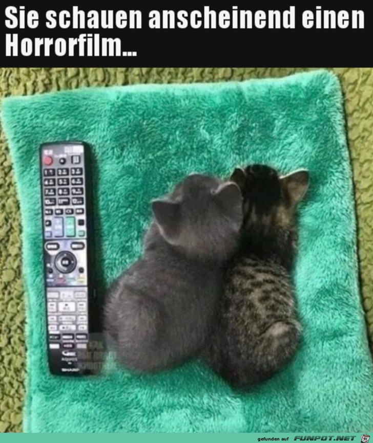 Gucken einen Horrorfilm