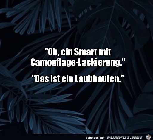 Ein Smart