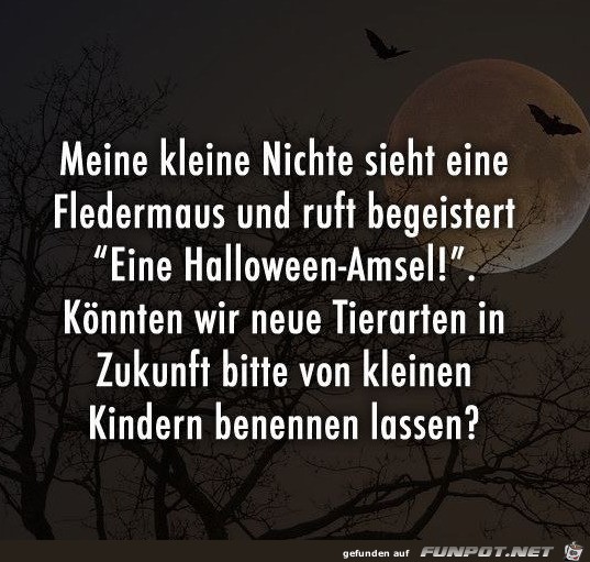 Eine Halloween-Amsel