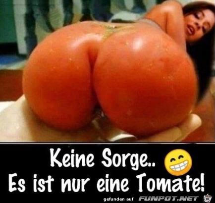 Nur eine Tomate