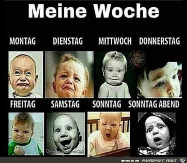 Meine Woche Meine Woche