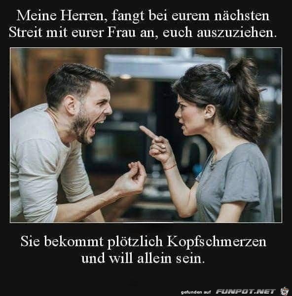 Meine Herren