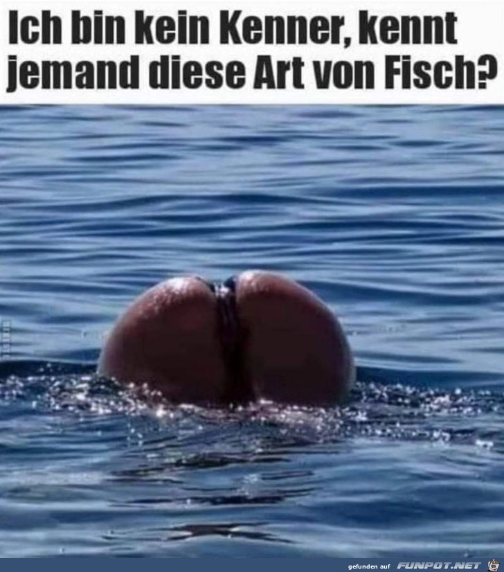 Komischer Fisch