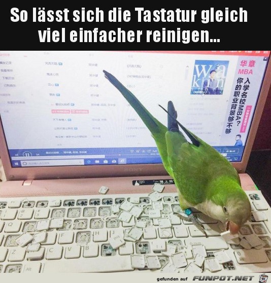 So lsst sich die Tastatur besser reinigen