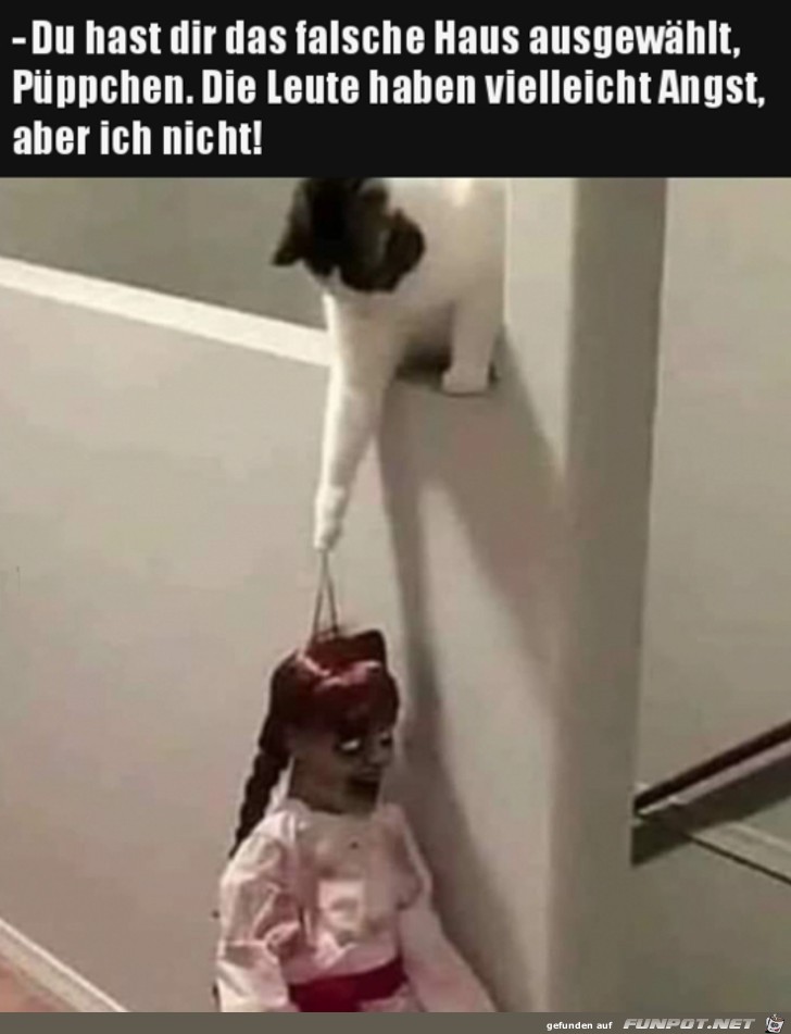 Nicht in diesem Haus