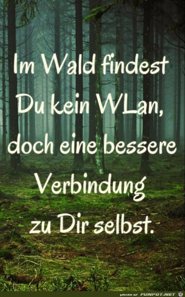 Im Wald