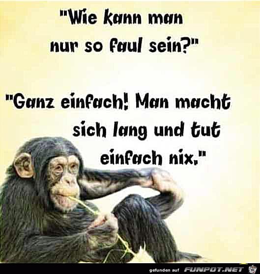 Faul sein